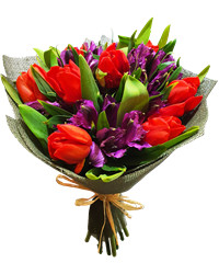 Cyber Florist Many GEOs product image